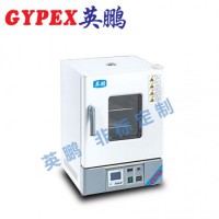 惠州化工廠干燥箱，立式電熱鼓風干燥箱